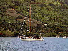 photo "An Island Visit"