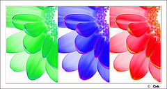 photo "color"