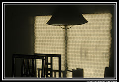 photo "shadows by morning"