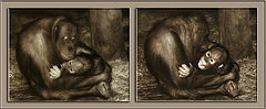 photo "About love and pleasure."