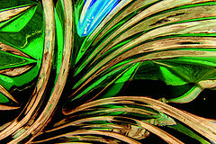 photo "BANANA PLANT"