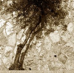 album "From a life of shadows"