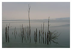 photo "End of the winter"