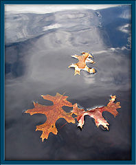 фото "Fall sailing"