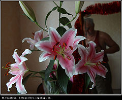 фото "Автопортрет."