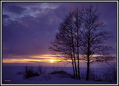 photo "***"