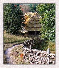 фото "Соломенные шляпки))"