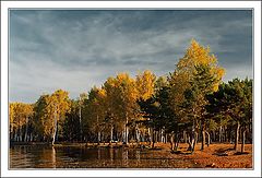 photo "Autumn wood"