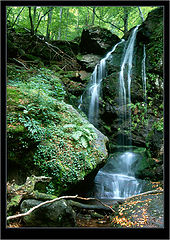 фото "Waterfall"