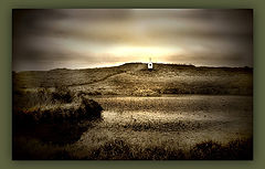 фото "*"