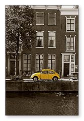 photo "The Holland bug"