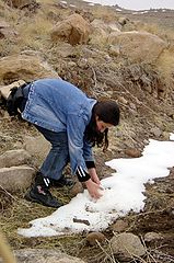 фото "snow"