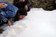 фото "snow"
