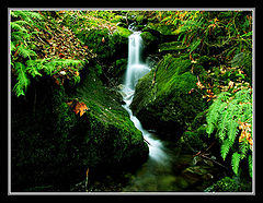 photo "Search For Destiny"