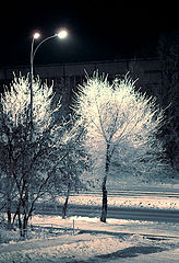 photo "Siberian Autum"