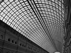 фото "Взгляд вверх"