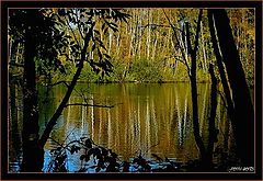 photo "autumn 2005"