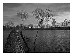 photo "***"