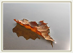 photo "Autumn"