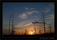 photo "Another Sunset in Tundra"