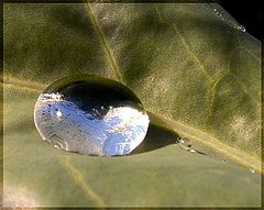 фото "..."