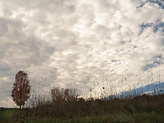 фото "Sky's Space"