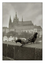 photo "Prague#1"