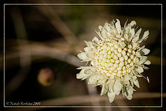 photo "* * *"