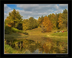 photo "Warmly Autumn park #8"