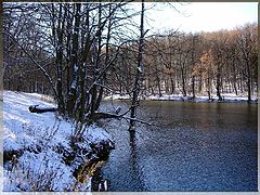 photo "Late autumn"
