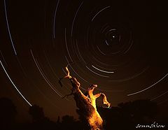 фото "Orbit of the constellation"