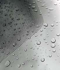photo "Dots & Spots"