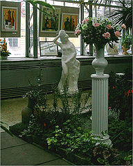 фото "Оазис в зиме."