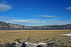 фото "Winter Marshland"