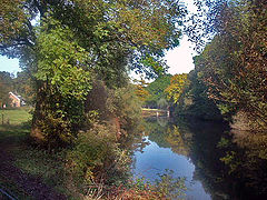 photo "River"