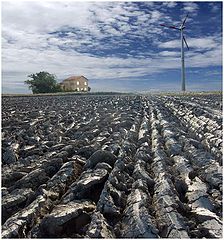 фото "Landscape 6030"