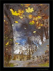 photo "City in Autumn"