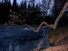 photo "evening in Fall"