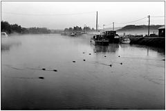 photo "morning on port"