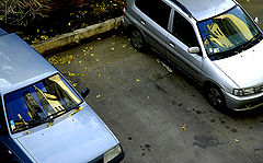 photo "***"