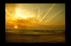 photo "long long long time ago"