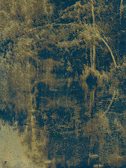 photo "Suprasl river"