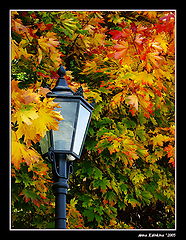 photo "Last memoirs..."