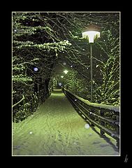 photo "first snow"