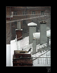 photo "Six on the roof"