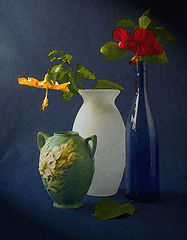 фото "still life"