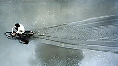 photo "Razor cut"
