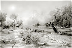 photo "***"