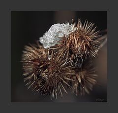 photo "Cold and warmth"