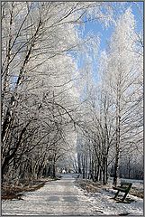 photo "Almost winter..."